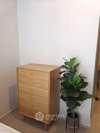 Modern bedroom corner with wooden dresser and indoor plant for a cozy ambiance.