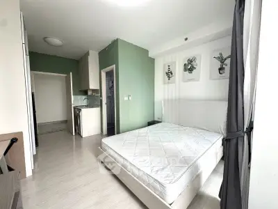 Modern bedroom with green accent wall, minimalist decor, and natural light.
