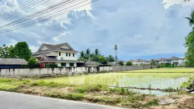 Charming suburban house with lush greenery and rice field view, perfect for tranquil living.