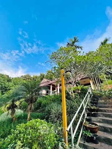 image_rental-30678920