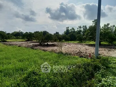 Expansive plot of land with lush greenery, perfect for development opportunities.