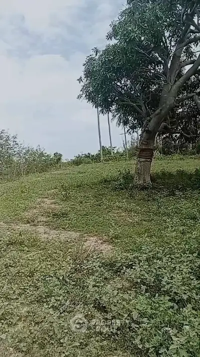 Scenic view of lush green landscape with trees, perfect for serene real estate development.