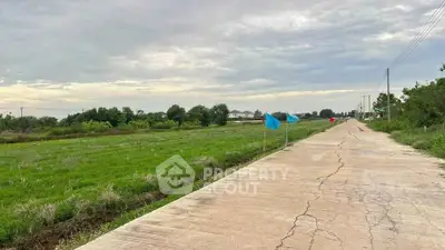 Expansive land plot with paved road access and lush greenery, ideal for development opportunities.