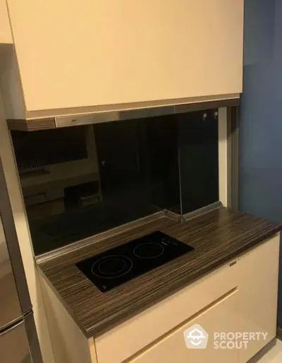 Modern kitchen with sleek induction cooktop and stylish cabinetry