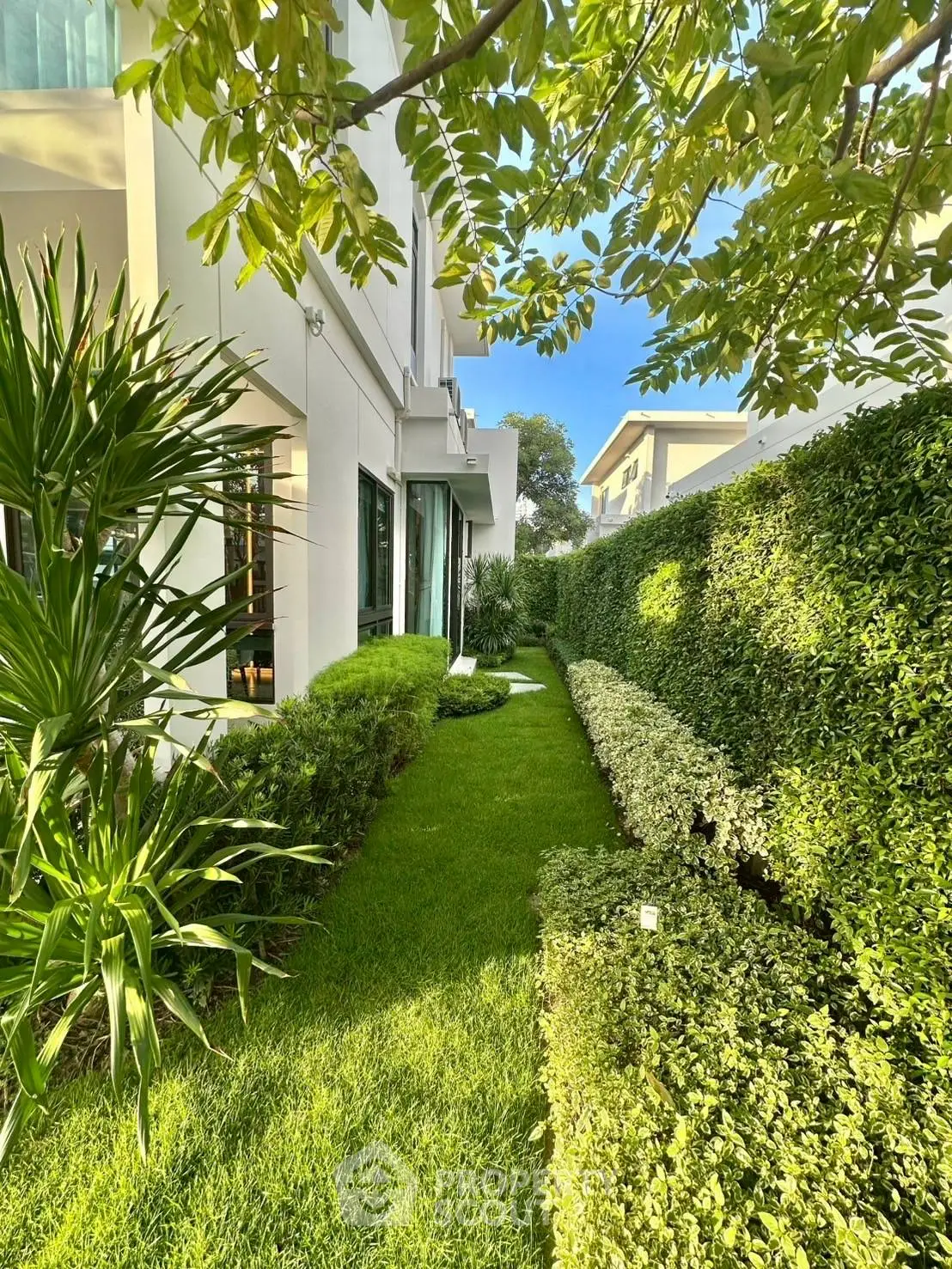 Lush green garden with manicured hedges beside modern white building