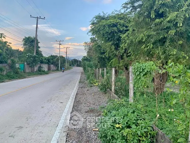 Scenic roadside view with lush greenery and clear skies, ideal for real estate development.