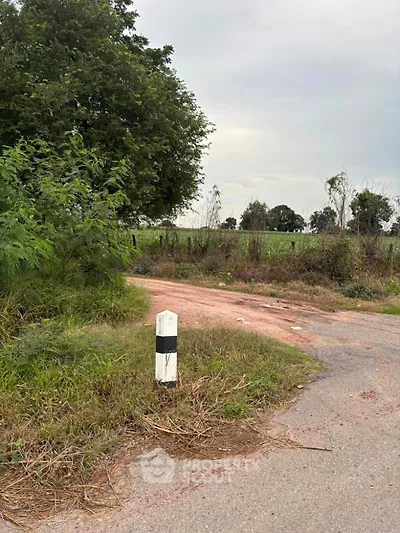 Scenic rural landscape with lush greenery and open road, perfect for development.