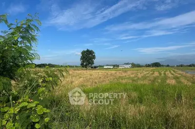 image_rental-30005504