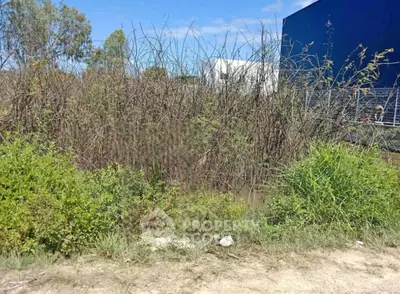 image_rental-31494075