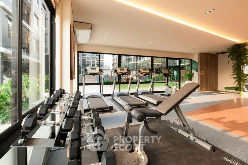 Modern gym with state-of-the-art equipment and large windows overlooking greenery.