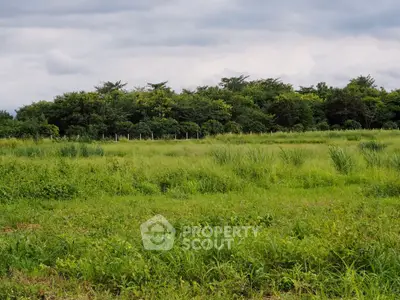 Expansive green land with lush vegetation and distant trees, perfect for development or agriculture.