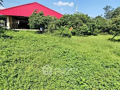 image_rental-31612668