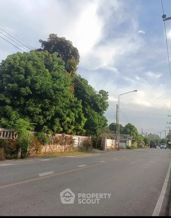 image_rental-26626182