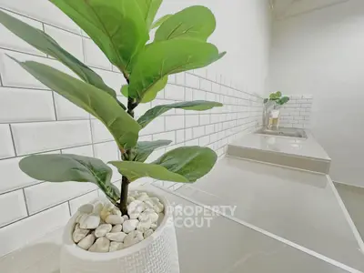 Modern kitchen with sleek countertops and stylish potted plant accent.