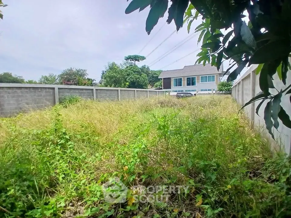 Spacious vacant land plot with lush greenery and boundary walls, ideal for development.