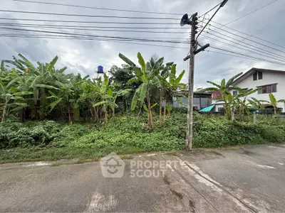 Prime land plot with lush greenery and potential for development in a serene neighborhood.