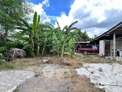 Spacious backyard with lush banana trees and rustic charm