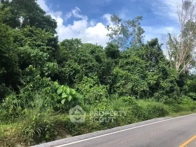 Lush green roadside land with potential for development under a clear blue sky.