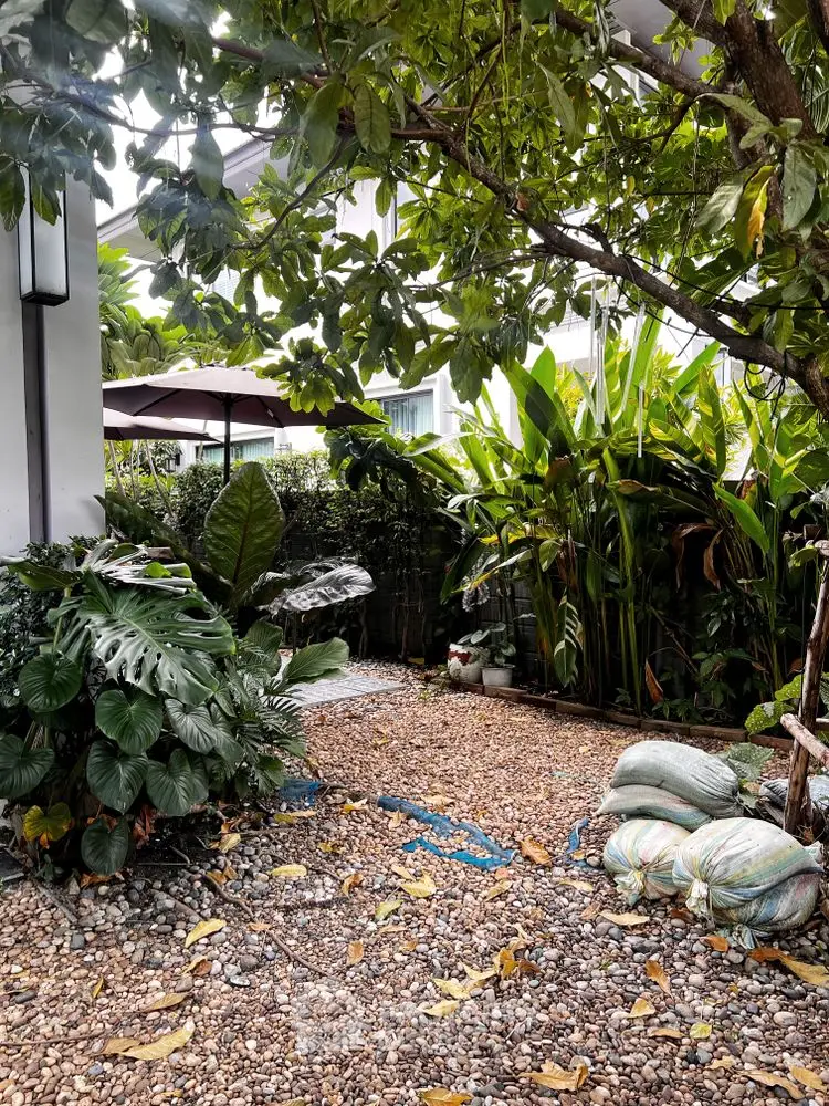 Charming garden area with lush greenery and pebble pathway in residential property.