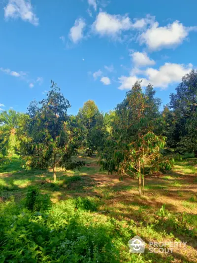 Lush green garden with trees under a clear blue sky, perfect for nature lovers.