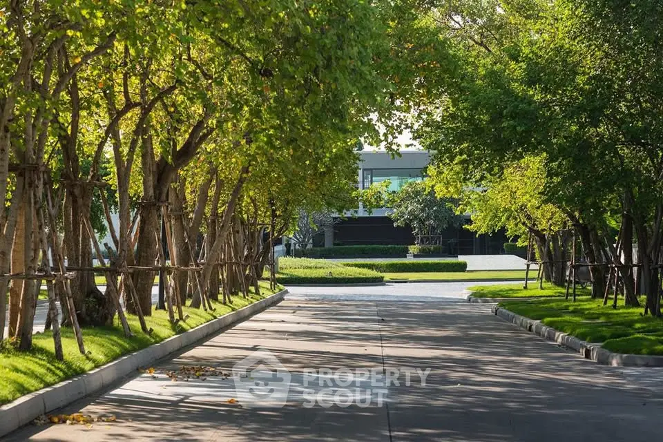 Serene driveway lined with lush trees leading to a modern building entrance, perfect for tranquil living.