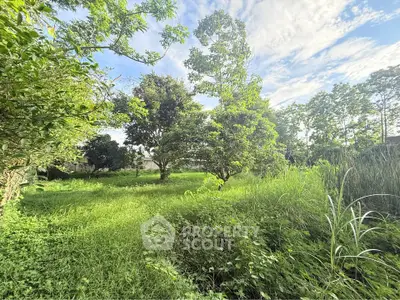Lush green garden with mature trees and vibrant foliage under a clear blue sky, perfect for serene outdoor living.