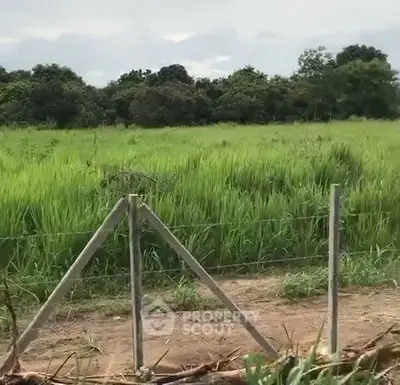 Expansive green field with lush vegetation and a sturdy fence, ideal for agricultural or development opportunities.