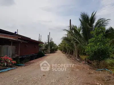 Charming rural property with lush palm trees and rustic pathway