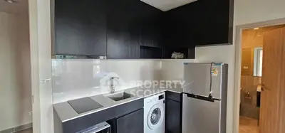 Modern kitchen with sleek black cabinets and built-in appliances