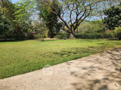 Expansive garden with lush greenery and mature trees, perfect for outdoor activities.