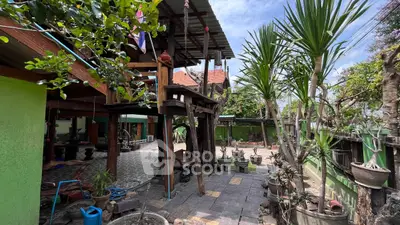 Charming garden with unique wooden structure and lush greenery, perfect for outdoor relaxation.