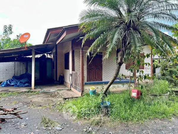 image_rental-27717279