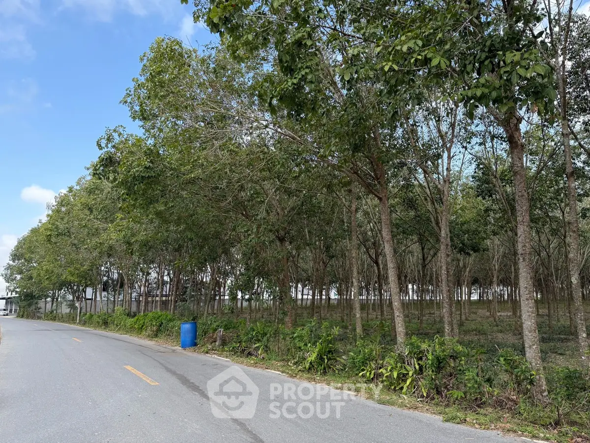 Scenic roadside view with lush greenery and trees, perfect for real estate development.
