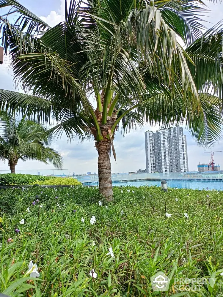 Lush garden with palm trees and cityscape view, perfect for urban living.