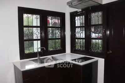 Modern kitchen with sleek black cabinets and dual windows for natural light.