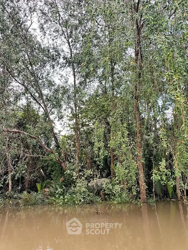 image_rental-27384569