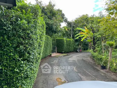 image_rental-26976883