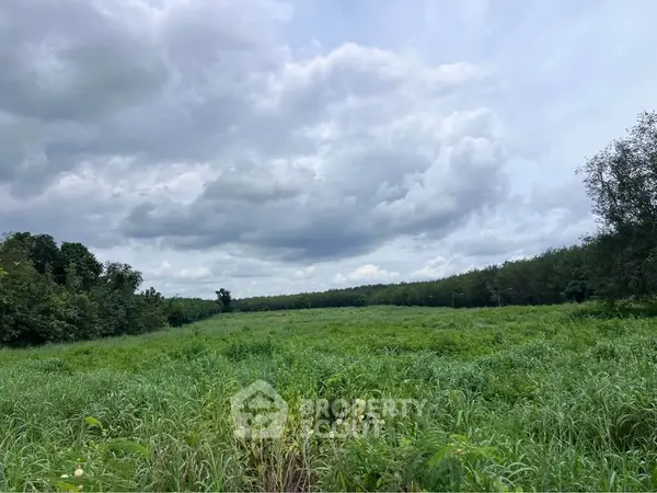 image_rental-26981659