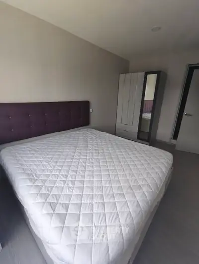 image_rental-30243127