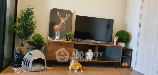 image_rental-16745596