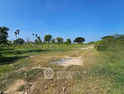 image_rental-30605282