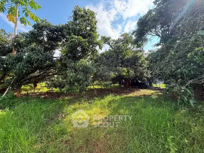 Lush green garden with mature trees under a clear blue sky, perfect for nature lovers.