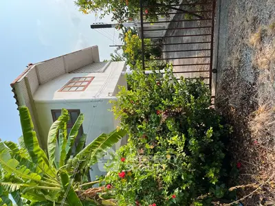 Charming suburban house with lush garden and gated driveway, perfect for family living.