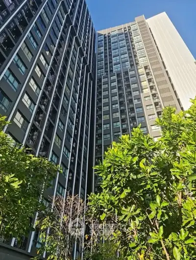 image_rental-31145151