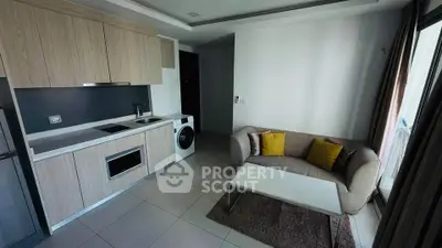Modern apartment interior with compact kitchen and cozy living area featuring a washing machine and stylish sofa.