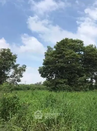 Screenshot 2026-01-04 195927.png