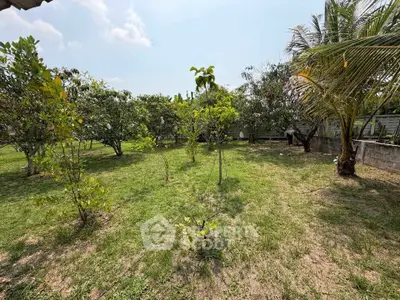 Spacious garden with lush greenery and tropical trees, perfect for outdoor relaxation and activities.