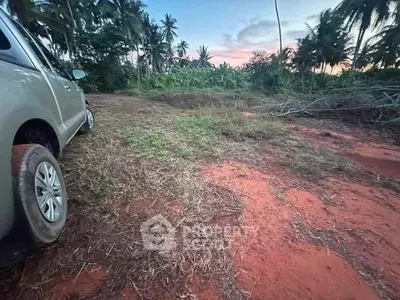 Expansive plot of land with lush greenery and tropical palm trees, ideal for development or investment.