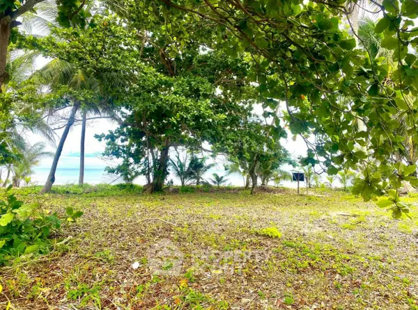 image_rental-24930176