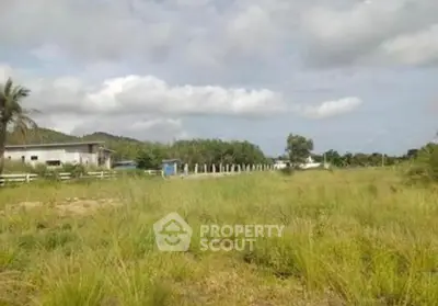 Expansive plot of land with lush greenery and distant building, ideal for development.